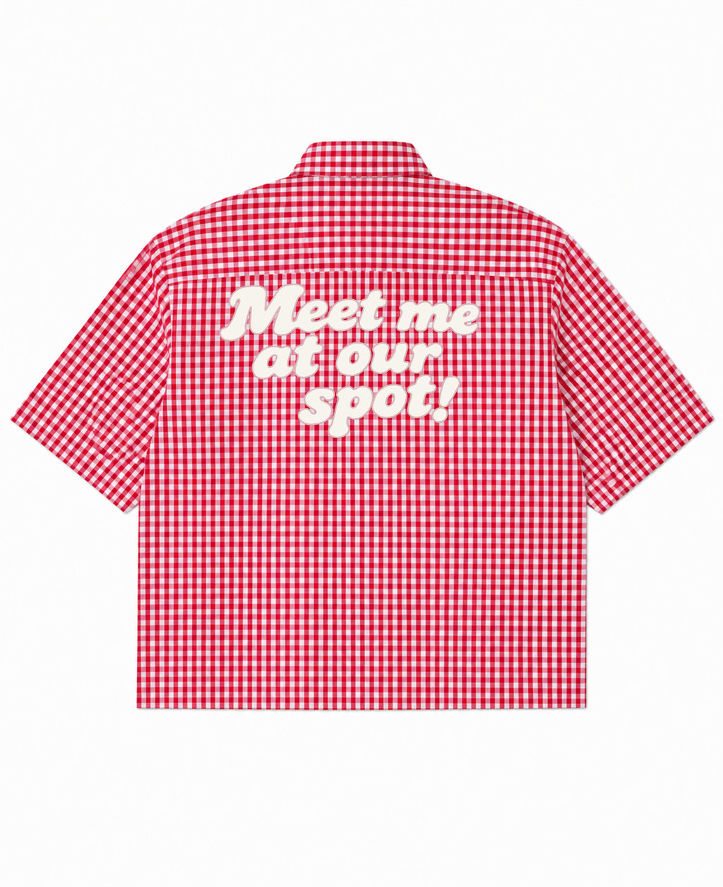 Red Picnic Oxford Boxy Shirt Back Design
